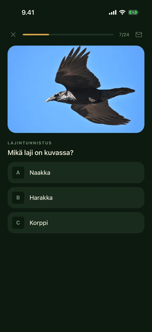 Lentävän linnun tunnistus sovelluksessa