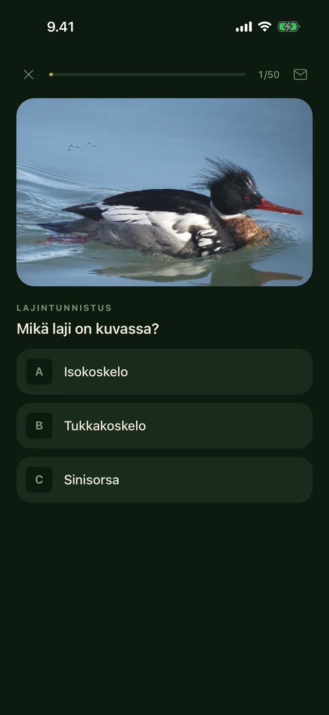 Lajintunnistus: mikä lintu on kuvassa